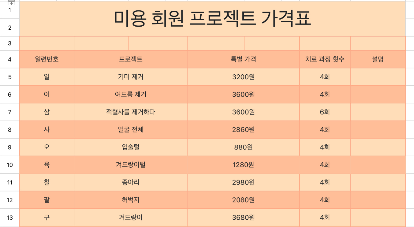 미용 회원 프로젝트 가격표